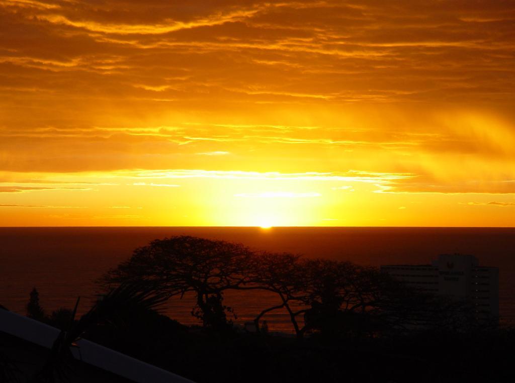 Umbrella Tree B&B Durban Ngoại thất bức ảnh